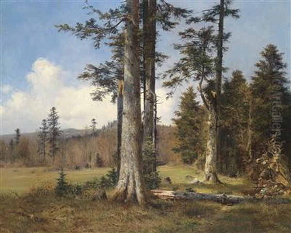 View Of A Forest Clearing Oil Painting by Anton Dieffenbach