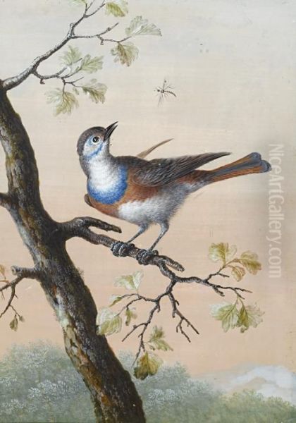 A Bluethroat Oil Painting by Barbara Regina Dietzsch