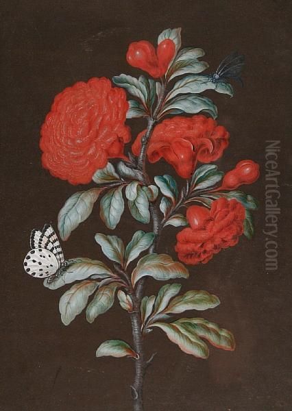 Red Chrysanthemums With A Chequered Bluebutterfly Oil Painting by Barbara Regina Dietzsch