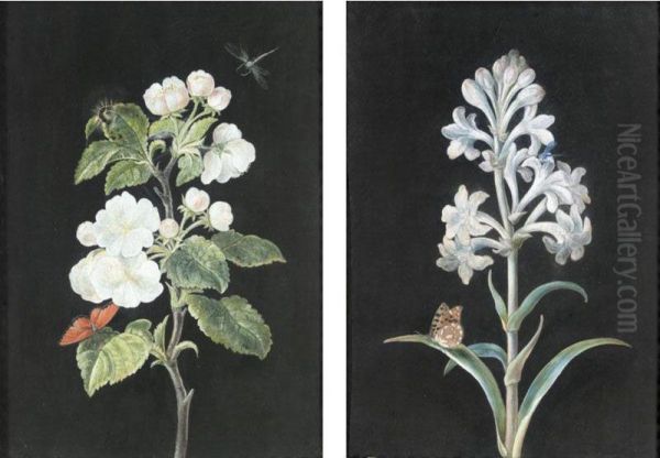 A Pair Of Studies Of Flowers And Insects: Apple Blossom And Another White Flower, With Butterflies And Dragonflies Oil Painting by Margaretha Barbara Dietzsch