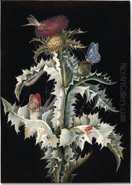 A Thistle With Cobwebs And A Dragonfly, Two Butterflies, A Beetle And A Spider Oil Painting by Margaretha Barbara Dietzsch