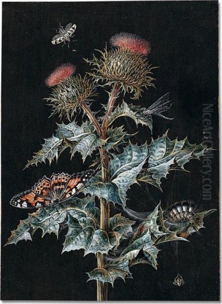 A Thistle With Two Buds, With Cobwebs, A Butterfly, A Large Caterpillar, A Spider And Two Other Insects Oil Painting by Margaretha Barbara Dietzsch