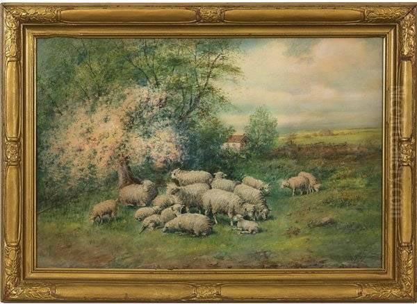 Sheep Oil Painting by Mary Ella Williams Dignam