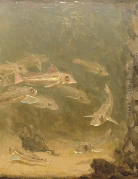 Poonen: A Shoal Of Gurnards Oil Painting by Gerrit Willem Dijsselhof