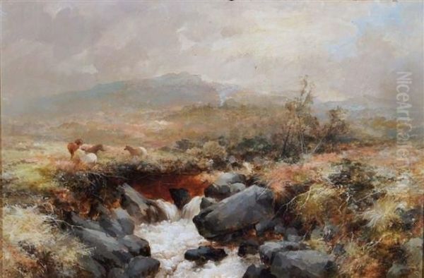 Scene With Horses On The Moor Oil Painting by Thomas, Junior Dingle