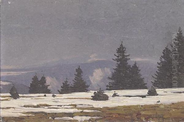 Winterliche Schwarzwaldlandschaft Bei Furtwangen Oil Painting by Hermann Dischler