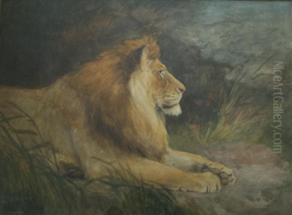 The King Of The Jungle Signed, Watercolour 37 X 50.5cm Oil Painting by Harry Dixon