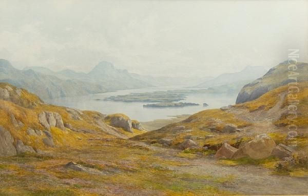 Loch Maree From Above Curree Bay Oil Painting by Percy Dixon