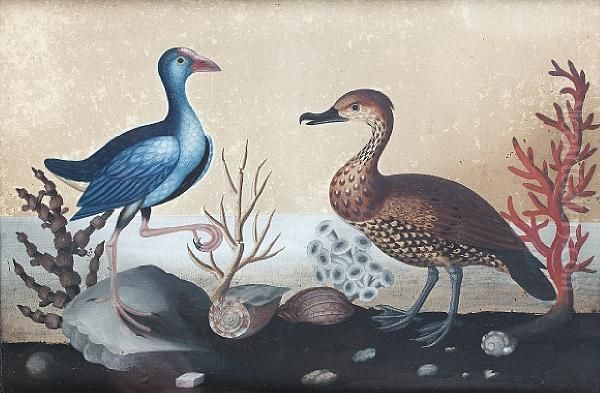 Irish George Iiembossed Bird Oil Painting by Samuel Dixon