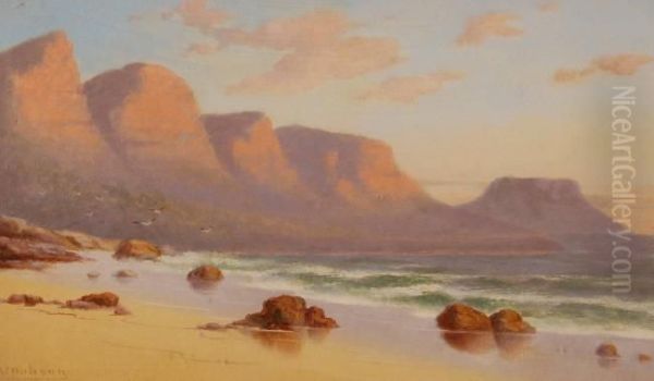 Coastal View Near Capetown Oil Painting by William Charles Thomas Dobson