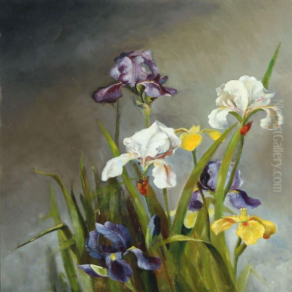 Still Life With Iris Oil Painting by Augusta Dohlmann