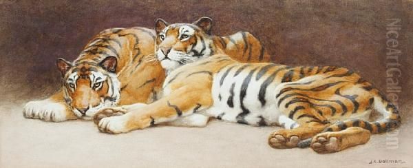 Tigers Oil Painting by John Charles Dollman