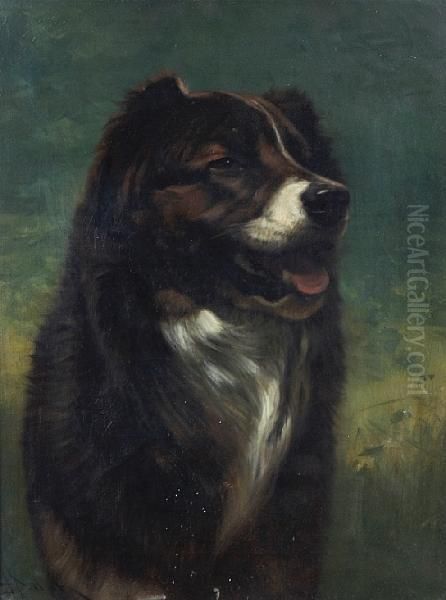 A Study Of A Dog Oil Painting by John Henry Dolph