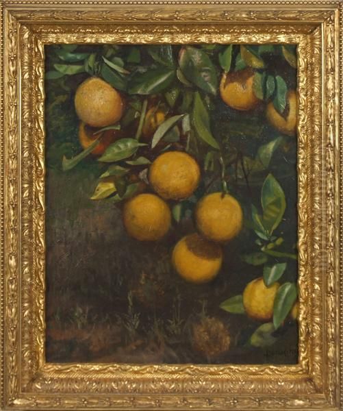 Still Life With Lemons Oil Painting by John Donaghy