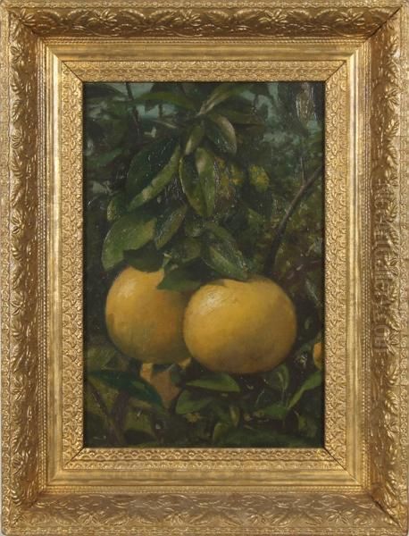 Still Life With Grapefruit Oil Painting by John Donaghy