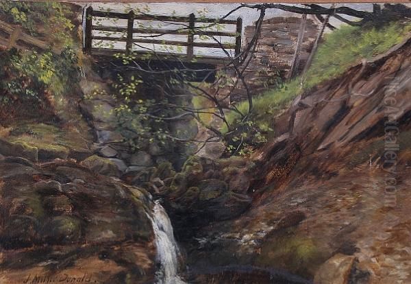 Bridge Over A Mountain Stream Oil Painting by John Milne Donald