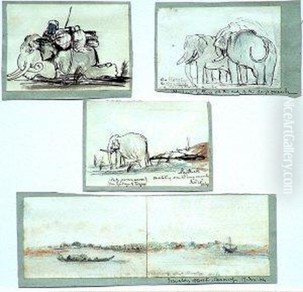 Three Studies Of Elephants In Burma And A River Landscape Oil Painting by John Baptist Joseph Dormer