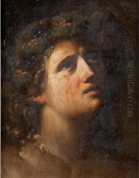 Head Of Bacchus Oil Painting by Dosso Dossi