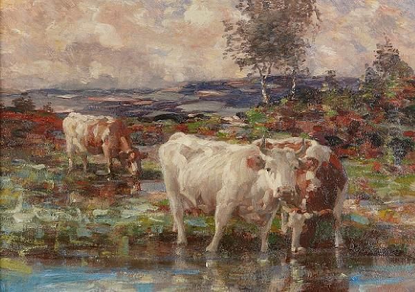 Cattle Watering Oil Painting by Andrew Douglas