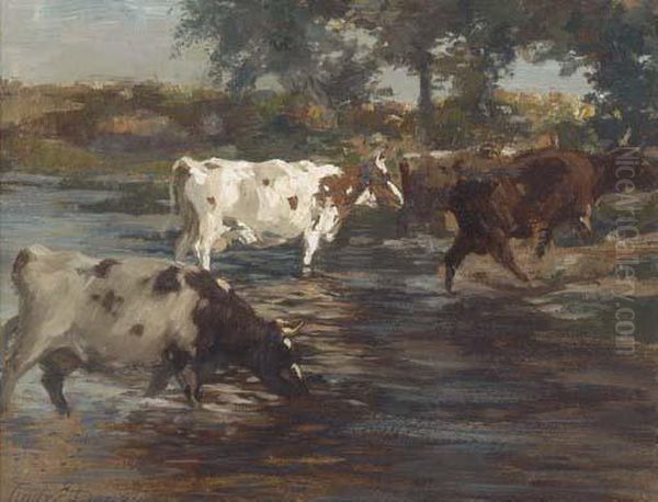 Cattle Fording A River Oil Painting by Andrew Douglas