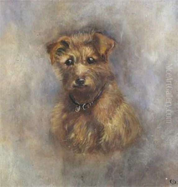 Head Study Of A Border Terrier Oil Painting by Edwin Douglas