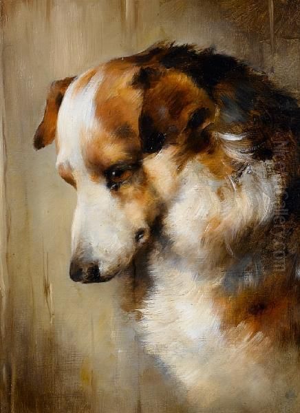 Head Study Of A Border Collie Oil Painting by Edwin Douglas