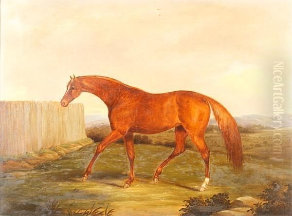 Horse Before A Landscape Oil Painting by John, H.B. Doyle