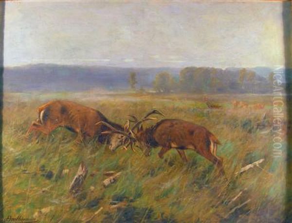 Stags Fighting Oil Painting by Christopher Drahtmann