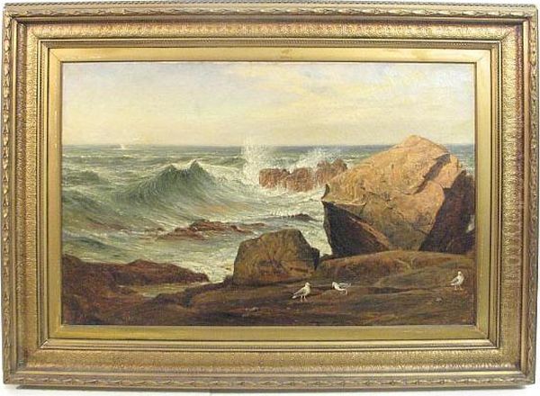 A Coastal Scene With Sea Gulls On A Rocky Shore Oil Painting by Charles F. Draper