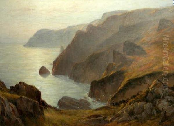 'headland On Jersey', Indistinctly Signed Oil On Canvas, 81x118cm Oil Painting by Charles F. Draper