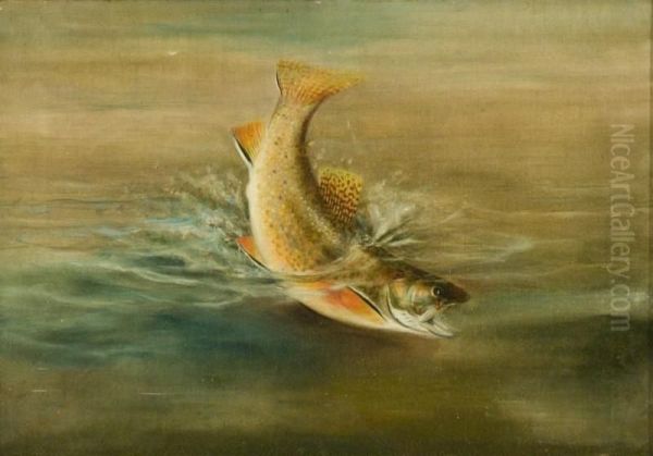 Brook Trout Oil Painting by Harry A. Driscole