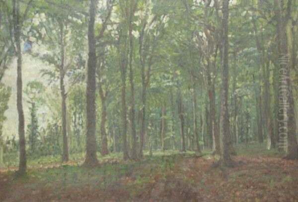 Waldlichtung Oil Painting by Hermann Druck