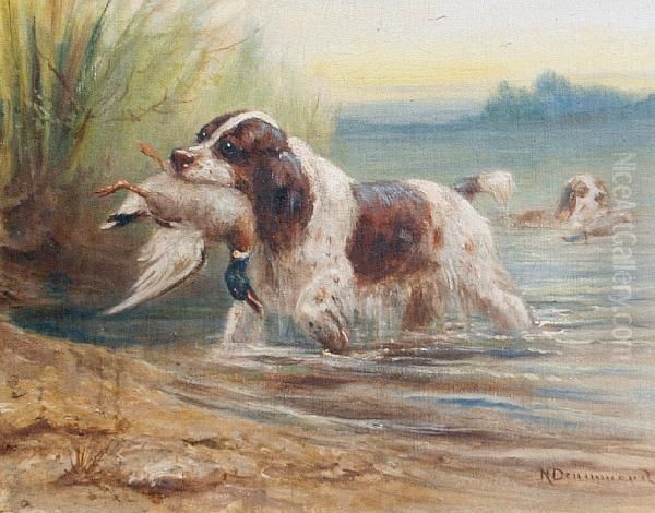 A Clean Retrieve Oil Painting by Nora Drummond