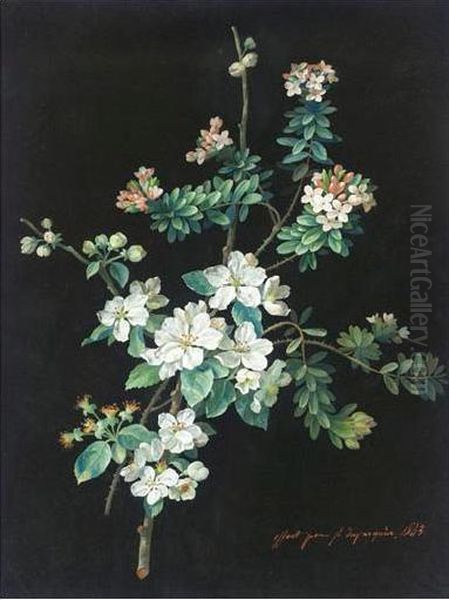 Etude De Fleurs Oil Painting by Louis Du Pasquier