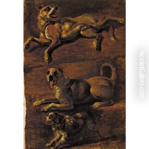 Three Studies Of Dogs Oil Painting by Edward Du Bois Dubois