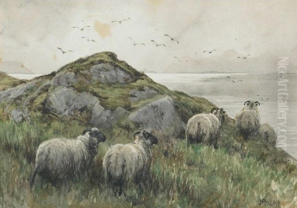 Sheep On Coastal Outcrop Oil Painting by John Robert Keitley Duff