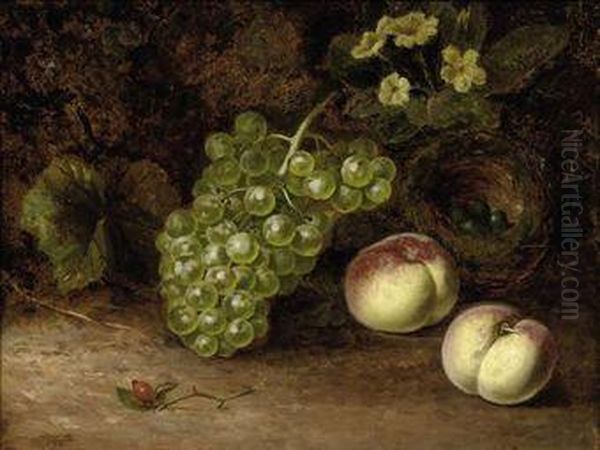 Grapes And Peaches With A Bird's Nest On A Mossy Bank Oil Painting by William Duffield