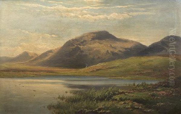 Lake Scene Connemara Oil Painting by Patrick Vincent Duffy