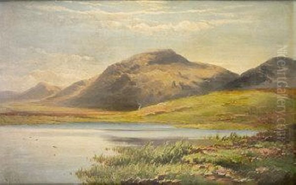 Lake Scene Connemara (1883) by Patrick Vincent Duffy