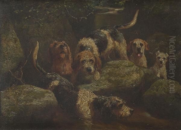 Otterhounds Oil Painting by Alfred Duke