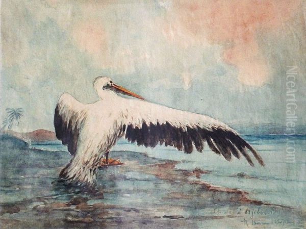 Le Pelican A Djibouti Oil Painting by Robert Dumont-Duparc