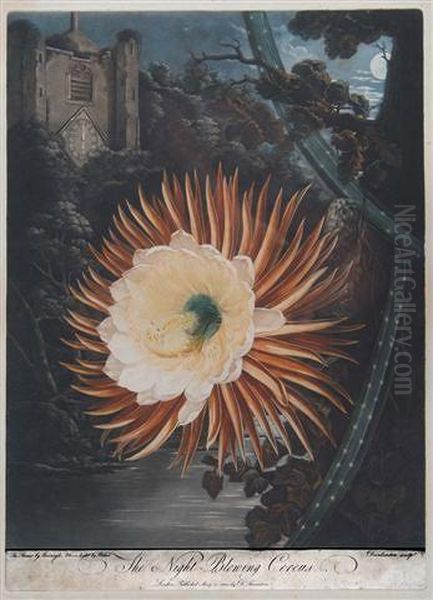 The Night-blowing Cereus Oil Painting by Robert John Dunkarton