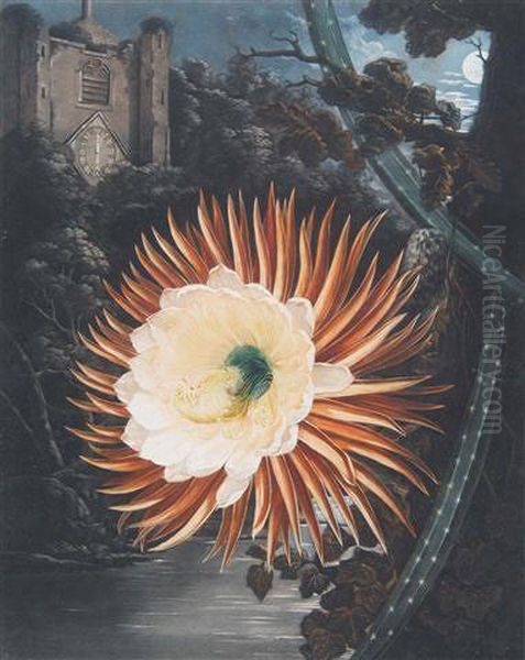 The Night - Blowing Cereus Oil Painting by Robert John Dunkarton