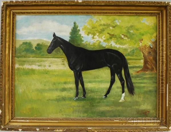 Portrait Of A Horse In Profile Oil Painting by Wilbur Leighton Duntley