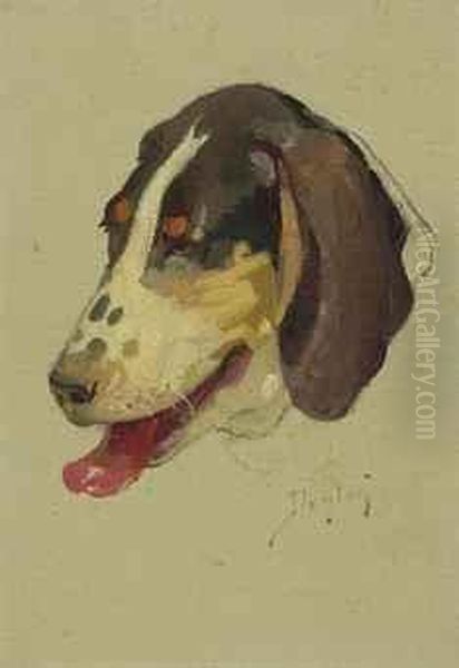 Study Of A Dog Oil Painting by W. Herbert Dunton