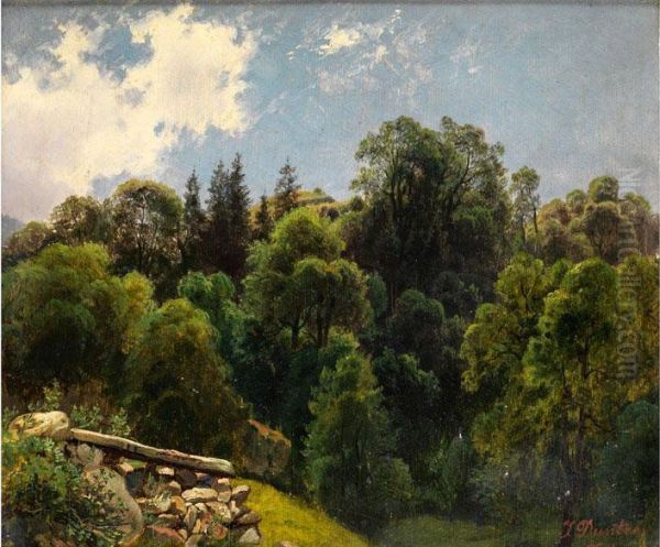 Sommertag - Blick In Einen Mischwald Oil Painting by Johannes-Bertholomaus Dutntze