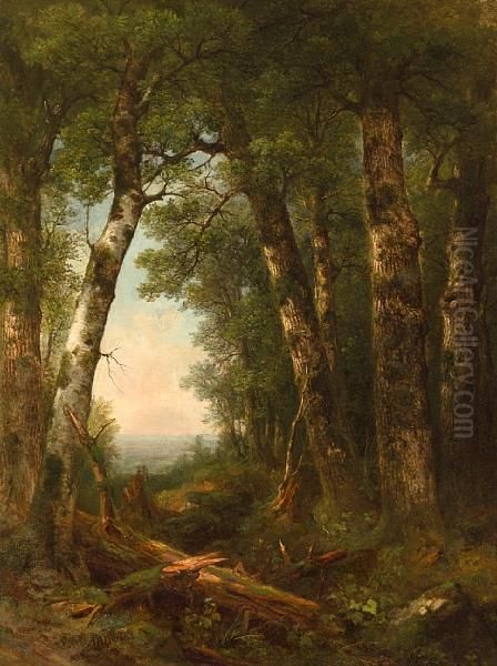 View Through The Woods Oil Painting by Asher Brown Durand