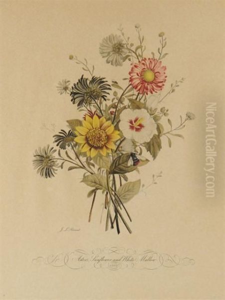 Two Floral Botanical Prints Oil Painting by Jean Nicolas Louis Durand