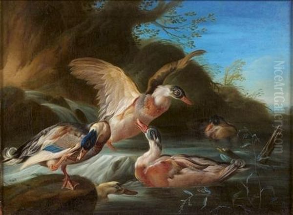 Canards Sauvages Dans Une Riviere Oil Painting by Giorgio Duranti