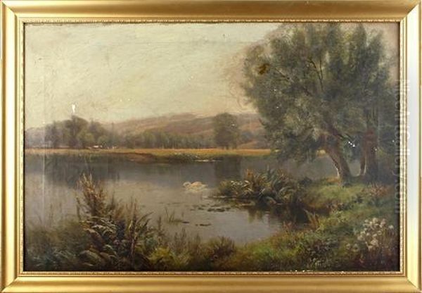 Landscape With Swan On A Lake Oil Painting by Edward John Duval